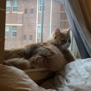 Meet your Posher, Kaleigh